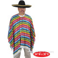 Man Adult Mexican Poncho Rainbow Poncho Costume